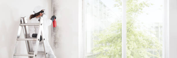 Best Dehumidification Services  in Ada, OK
